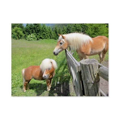 Pony，Für Erwachsene Familie Stress Relief Puzzle Spielzeug - Familie Spaß Herausforderung Spielzeug - 1000 Teile Puzzle（75x50cm）-AY55 von YYHMKBYY