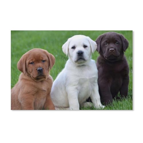 Puzzel Für Erwachsene Jigsaw Puzzle 1000，Labrador-Tier，DIY Holz Puzzle Einzigartiges Geschenk(75x50cm-E95 von YYHMKBYY