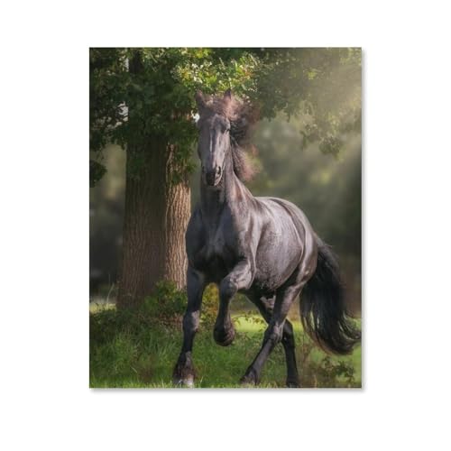 Puzzel Für Erwachsene Jigsaw Puzzle 1000，Schwarzes Pferd unter dem Baum，DIY Holz Puzzle Einzigartiges Geschenk Wohnkultur Stil(75x50cm-F77 von YYHMKBYY