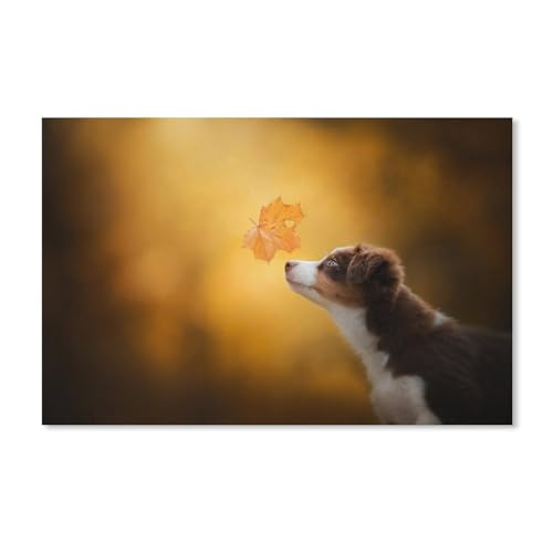 Puzzle，Australischer Hund，Für Kinder Und Erwachsene Holz Personalisiertes Puzzle-Spaß-Spiel 1000pcs(75x50cm-E21 von YYHMKBYY