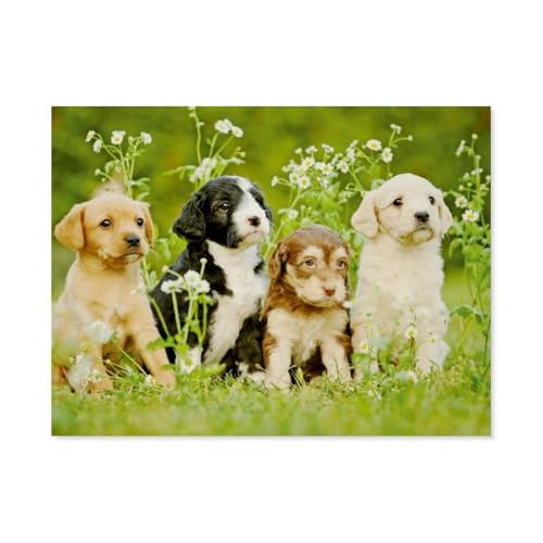 Puzzle，Bunte Hunde，Für Kinder Und Erwachsene Holz Personalisiertes Puzzle-Spaß-Spiel 1000pcs（75x50cm）-AS92 von YYHMKBYY