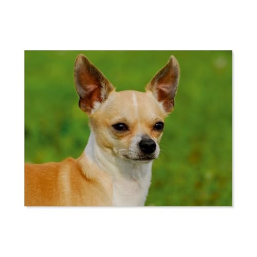 Puzzle，Chihuahua，Für Kinder Und Erwachsene Holz Personalisiertes Puzzle-Spaß-Spiel 1000pcs（75x50cm）-AP27 von YYHMKBYY