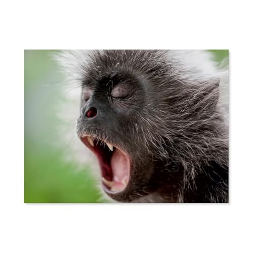 Puzzle 1000 Stück，AFFE，Papier Adult Toys Dekompression Spiel（38x26cm）-AS81 von YYHMKBYY