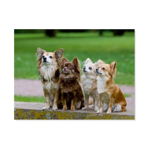 Puzzle 1000 Stück，Chihuahuas，Papier Kinderspielzeug Dekompression Spiel（50x70cm）-AS2 von YYHMKBYY