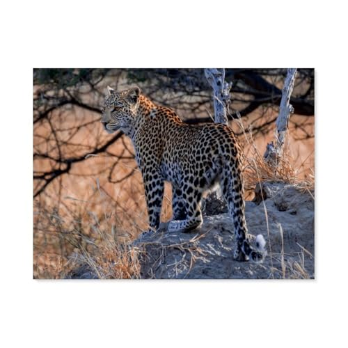 Puzzle 1000 Stück，Junge Leopardin am frühen Morgen，Papier Kinderspielzeug Dekompression Spiel（38x26cm）-AS75 von YYHMKBYY
