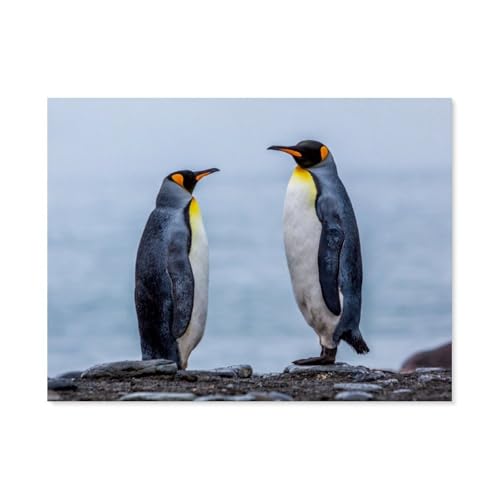 Puzzle 1000 Stück，Köngispinguine，Für Holz Erwachsene Spielzeug Dekompression Spiel（75x50cm）-AS14 von YYHMKBYY