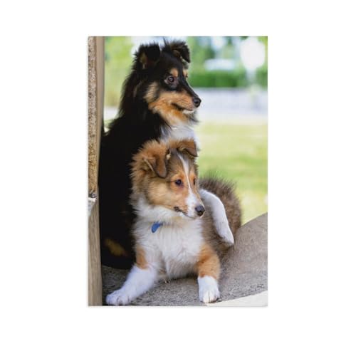 Puzzle 1000 Stück，Shelties，Papier Adult Toys Dekompression Spiel（38x26cm）-AP89 von YYHMKBYY