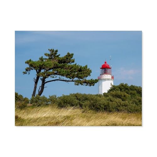 Puzzle 1000 Stück，Süderleuchtturm-Hiddensee，Für Holz Erwachsene Spielzeug Dekompression Spiel（75x50cm）-AR41 von YYHMKBYY