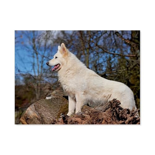 Puzzle 1000 Stück，Weißer Schweizer Schäferhund，Für Holz Erwachsene Spielzeug Dekompression Spiel（75x50cm）-AP22 von YYHMKBYY