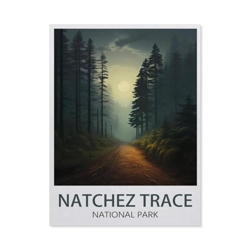 Puzzle 1000 Teile，Natchez Trace National Park，Papier Kinder Wiedergeboren Dekompressionsspiel（38x26cm）-AY20 von YYHMKBYY