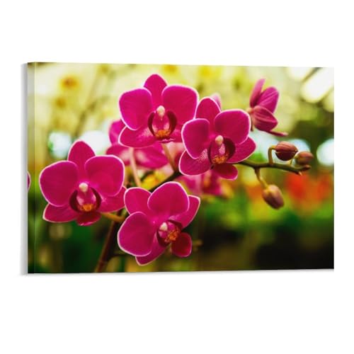 Puzzle 1000 Teile，Rosa Orchideen，Erwachsene Holzspiel Freizeit Kunst Spielzeug Puzzles（52x38cm）-88 von YYHMKBYY