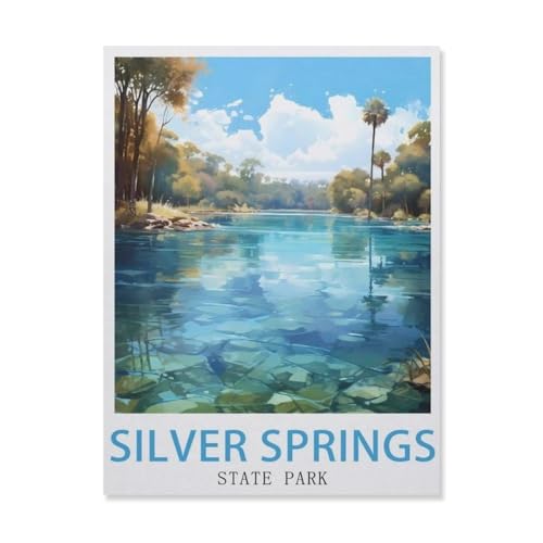 Puzzle 1000 Teile，Silver Springs State Park，Papier Adult Toys Dekompressionsspiel（38x26cm）-DQ58 von YYHMKBYY