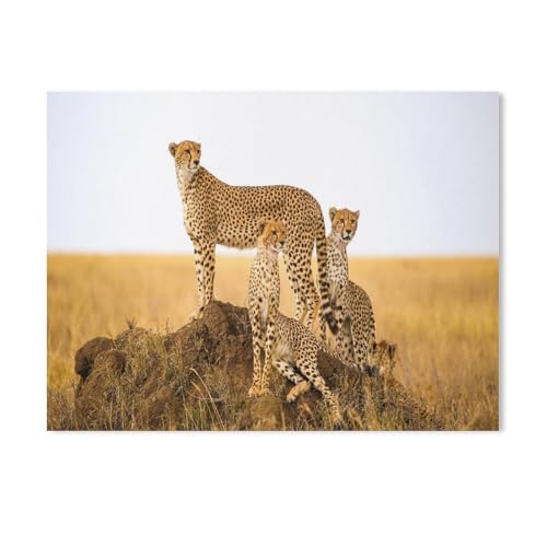 Puzzle 1000 Teile,Tiere, Safari, Geparden,Karton Adult Toys Dekompressionsspiel(38x26cm-333 Puzzle 1000 Teile,Tiere, Safari, Geparden,Karton Adult Toys Dekompressionsspiel(38x26cm-333 von YYHMKBYY