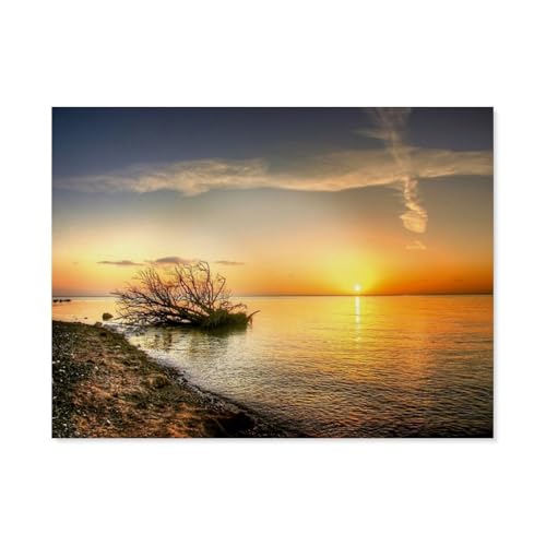 Puzzle 1000 Teile DIY Holz Puzzle，Maglevands Strand，Freizeit Creative Kreuzworträtsel Spiel Kind Puzzle Spielzeug Geburtstag Festival Einzigartiges Geschenk（75x50cm）-AP52 von YYHMKBYY