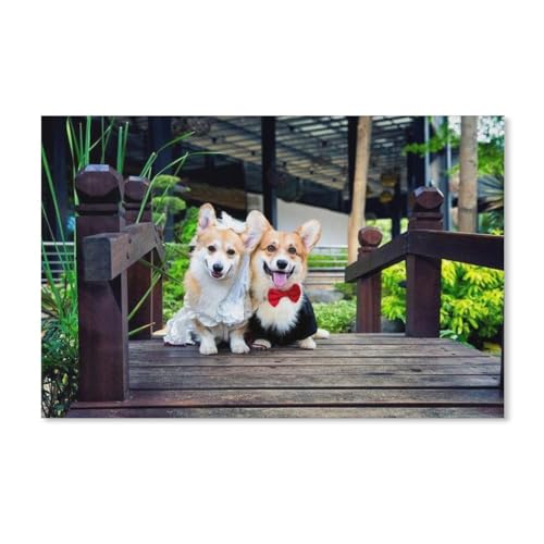 Puzzle 1000 Teile Erwachsene Kinde Spaß Lernspielzeug Geschenke，2 Corgi-Hunde（38x26cm）-H31 von YYHMKBYY