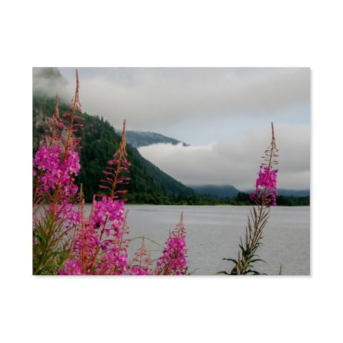 Puzzle 1000 Teile Erwachsene Puzzle Holz Puzzle Klassisches 3D Puzzle，Bei Kristiansand，DIY Collectibles Moderne Wohnkultur（75x50cm）-AT16 von YYHMKBYY