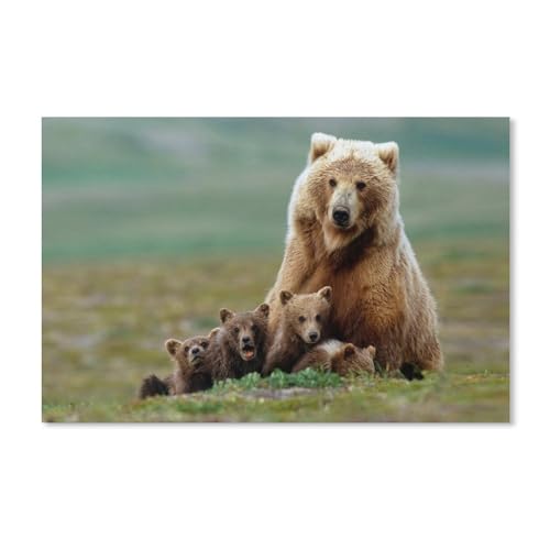 YYHMKBYY 1000 Teile Puzzle Erwachsene und Kinder ab 8 Jahren, Klassisches 3D Puzzle, Braunbärfamilie, DIY Collectibles Moderne Wohnkultur (38x26cm) - F19 von YYHMKBYY