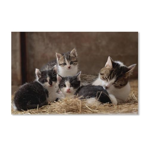 Puzzle 1000 Teile Erwachsene Puzzle Papier Puzzle Klassisches 3D Puzzle，Süße Katze，DIY Collectibles Moderne Wohnkultur（38x26cm）-F92 von YYHMKBYY