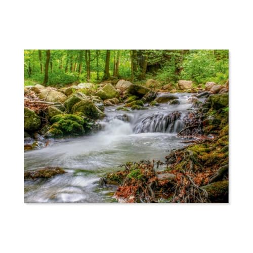 Puzzle 1000 Teile Erwachsenen Puzzle，Harz,Im Ilsetal，Kind Aus Holz Puzzle Panorama Art DIY Leisure Game Fun Geschenk Spielzeug Geeignete Freunde Familie（75x50cm）-AR51 von YYHMKBYY