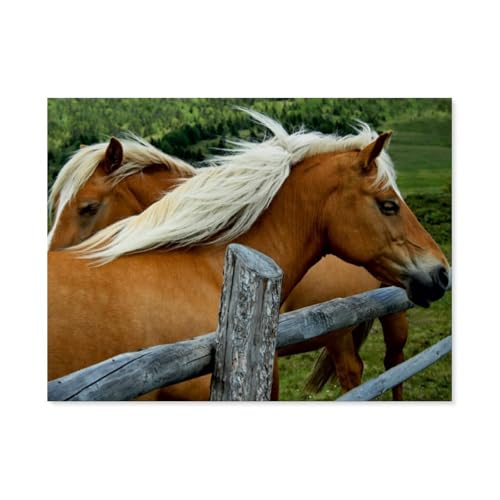 Puzzle 1000 Teile Holz，Pferde，Dekompression Der Erwachsenen，Kinderpuzzle Spiele Ab 8 Jahren, Spielzeug Für Mädchen Jungen Teenager（75x50cm）-AO77 von YYHMKBYY