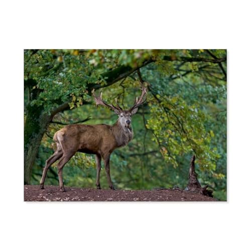 Puzzle 1000 Teile Landschaft Erwachsene Puzzle Holz Puzzle 3D Klassisches Puzzle，Hirsch im Wald，DIY Moderne Kunst Hauptdekor（75x50cm）-AR62 von YYHMKBYY