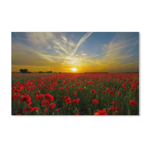 Puzzle 1000 Teile Landschaft Erwachsene Puzzle Papier Puzzle 3D Klassisches Puzzle，Sonnenuntergang, Mohnblumen，DIY Moderne Kunst Hauptdekor（50x70cm）-G56 von YYHMKBYY