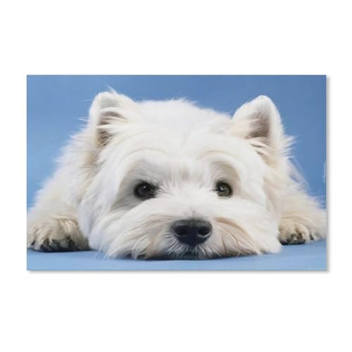 Puzzle 1000 Teile Landschaft Erwachsene Puzzle Papier Puzzle 3D Klassisches Puzzle，West Highland Terrier，DIY Moderne Kunst Hauptdekor（50x70cm）-E37 von YYHMKBYY