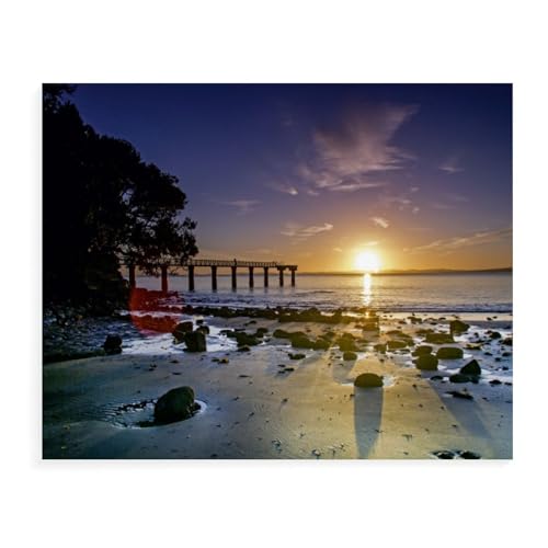 Puzzle 1000 Teile Puzzle，Auckland，Erwachsene Kinderspiel Lernspielzeug（75x50cm）-AX63 von YYHMKBYY