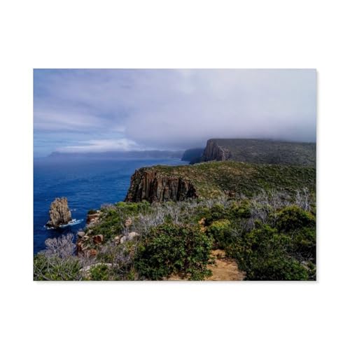 Puzzle 1000 Teile Teile，Naturlandschaften Tasmaniens，for Adult Familys Puzzle Toy Decompression Game（75x50cm）-AY6 von YYHMKBYY