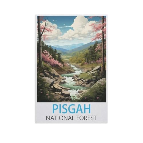 Puzzle 1000 Teile für Erwachsene, Pisgah National Forest, großes Puzzle-Spiel-Kunstwerk für Erwachsene und Jugendliche (50 x 70 cm)-FP37 von YYHMKBYY