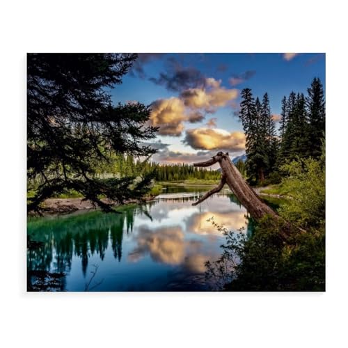 Puzzle 1000 Teile für Erwachsene，Bow River, Alberta，Impossible Geschicklichkeitsspiel für Die Ganze Familie, Farbenfrohes Legespiel, Home Dekoration（38x26cm）-AX60 von YYHMKBYY