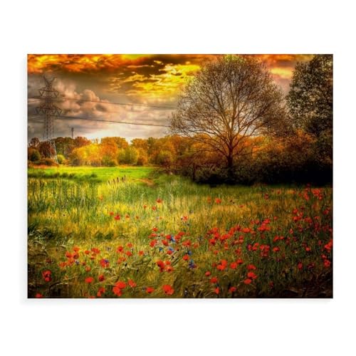 Puzzle 1000 Teile für Erwachsene，Mohnblumen in einem Getreidefeld，Impossible Geschicklichkeitsspiel für Die Ganze Familie, Farbenfrohes Legespiel, Home Dekoration（75x50cm）-AW97 von YYHMKBYY