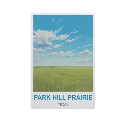 Puzzle 1000 Teile für Erwachsene，Park Hill Prairie, Texas，Klassische Puzzle Teenager Jungen Mädchen Puzzle DIY Moderne Wohnkultur Einzigartiges Geschenk Intellektuelles Spiel（50x70cm）-GG40 von YYHMKBYY