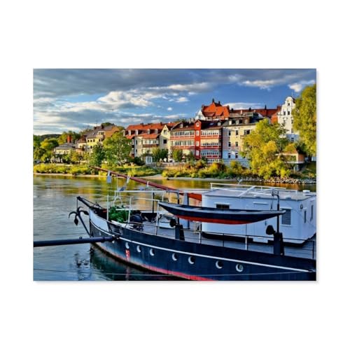 Puzzle 1000 Teile für Erwachsene，Regensburg，Impossible Geschicklichkeitsspiel für Die Ganze Familie, Farbenfrohes Legespiel, Home Dekoration（50x70cm）-AZ28 von YYHMKBYY