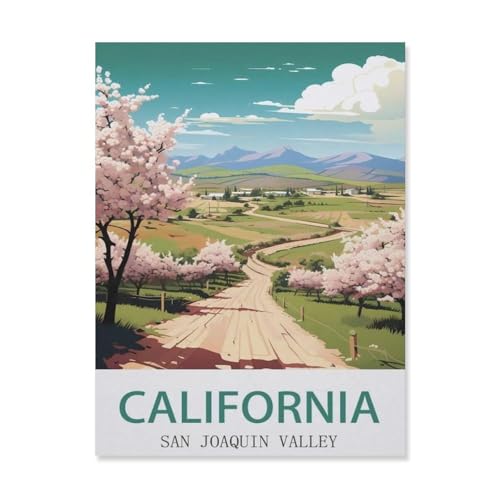 Puzzle für Erwachsene, 1000 Teile, San Joaquin Valley Kalifornien, schwieriges Puzzle, perfektes pädagogisches Geschenk für Jungen und Mädchen (50 x 70 cm) - EG19 von YYHMKBYY