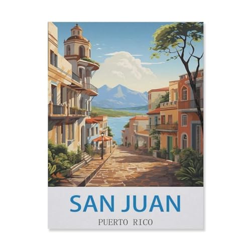Puzzle für Erwachsene, San Juan Puerto Rico, Kinder, Teenager, große Familien, Puzzle-Spiel (50 x 70 cm), EJ74, 1000 Teile von YYHMKBYY