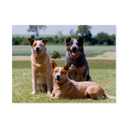 Puzzle für Erwachsene 1000 Teile，Faszinierende Australian Cattle Dogs，für Erwachsene und Kinder, Holz Puzzle, Kunstwerk, geistiges Lernspielzeug, Geschenke（75x50cm）-AV37 von YYHMKBYY