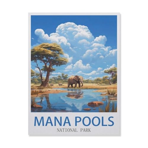 Puzzle mit 1000 Teilen, Mana-Pool-Nationalpark, Simbabwe, Baum, 3D Erwachsene, Papier, Lernspielzeug, bestes Geburtstagsgeschenk für Jungen und Mädchen (50 x 70 cm) -DS93 von YYHMKBYY