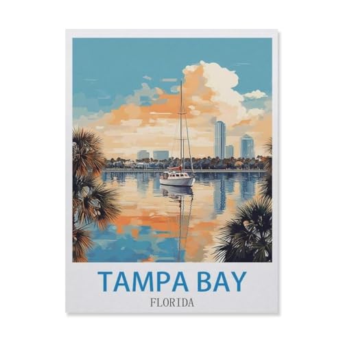 Puzzles 1000 Puzzles aus Papier, Tampa Bay, Florida, Basteln, kreatives Puzzle, Geschenke, Lernspiele, Brain Challenge Puzzle (50 x 70 cm) -EJ41 von YYHMKBYY
