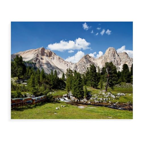 Puzzles 1000 Stück，Almidylle，Spielzeug Zur Stressreduktion Für Familien Puzzle - Personalisierte Herausforderungs-Spielzeuge Für Erwachsene（38x26cm）-AW81 von YYHMKBYY