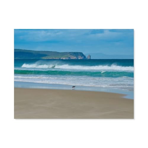 Puzzles 1000 Stück，Bruny Island, Tasmania，Spielzeug Zur Stressreduktion Für Familien Puzzle - Personalisierte Herausforderungs-Spielzeuge Für Erwachsene（38x26cm）-AY7 von YYHMKBYY