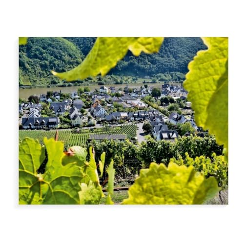 Puzzles 1000 Stück，Der Winzerort Winningen an der Mosel，Spielzeug Zur Stressreduktion Für Familien Puzzle - Personalisierte Herausforderungs-Spielzeuge Für Erwachsene（75x50cm）-AX86 von YYHMKBYY