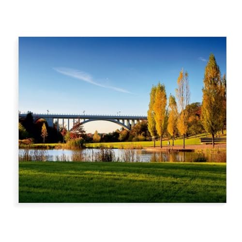 Puzzles 1000 Stück，Pirmasens，Spielzeug Zur Stressreduktion Für Familien Puzzle - Personalisierte Herausforderungs-Spielzeuge Für Erwachsene（75x50cm）-AW60 von YYHMKBYY