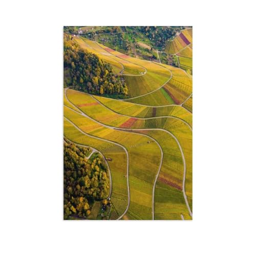 Puzzles 1000 Stück，Weinberge zwischen Kappelberg und Rotenberg，Spielzeug Zur Stressreduktion Für Familien Puzzle - Personalisierte Herausforderungs-Spielzeuge Für Erwachsene（38x26cm）-AU50 von YYHMKBYY