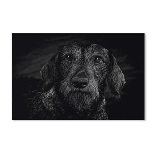 Puzzles 1000 Stück PapierMontage Bild，Dackel，Erwachsene Spiele Lernspielzeug（38x26cm）-G26 von YYHMKBYY