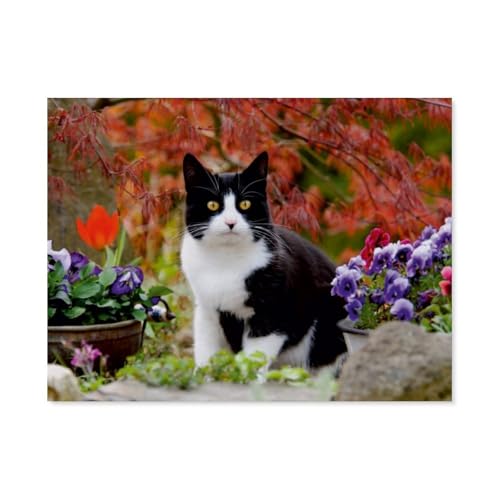 Puzzles 1000 Teile für Erwachsene，Schwarz-weiße Katze im blühenden Garten，Klassische Puzzle Teenager Jungen Mädchen Puzzle Lustige Familienpuzzles In Premium-Qualität Zum Geburtstag（38x26cm）-AT92 von YYHMKBYY