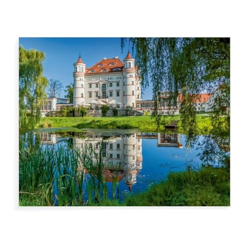 Schloss Schildau nahe Hirschberg，1000 Teile Puzzles, Papier Craft, Hochwertiges Modernes Puzzle, DIY, Für Erwachsene Und Kinder Ab 12 Jahren（50x70cm）-AX10 von YYHMKBYY
