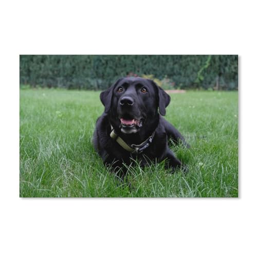 Schwarze Labrador-Welpen，Puzzle 1000 Teile Holz Puzzle Erwachsene Kinder Lernspielzeug Familie Dekompressionsspiel(75x50cm-F37 von YYHMKBYY