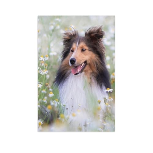 Shelties，Puzzle 1000 Teile Holz Puzzle Erwachsene Kinder Lernspielzeug Familie Dekompressionsspiel（75x50cm）-AP68 von YYHMKBYY