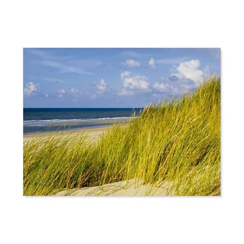 Texel，1000 Teile, Puzzle Aus Papier Für Erwachsene Und Kinder Ab 12 Jahren, Lernspielzeug（38x26cm）-BA68 von YYHMKBYY